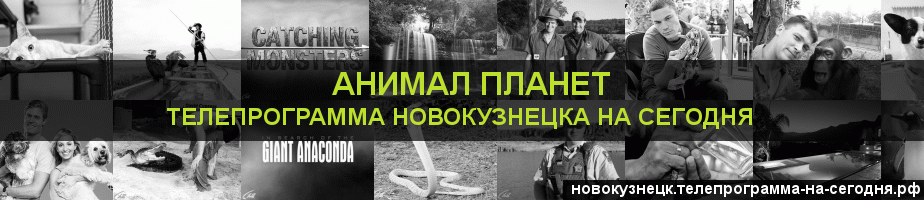 Телепрограмма на сегодня канала Анимал Планет, Новокузнецк