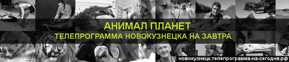 Телепрограмма на завтра канала Анимал Планет, Новокузнецк