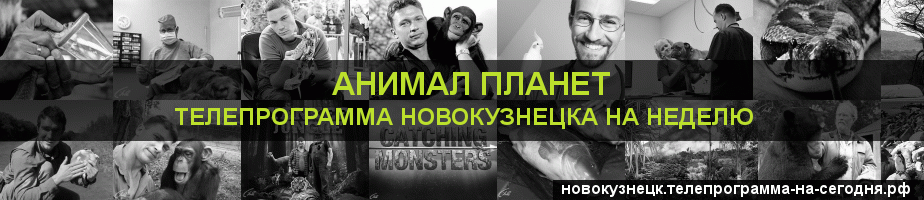 Телепрограмма на неделю канала Анимал Планет, Новокузнецк